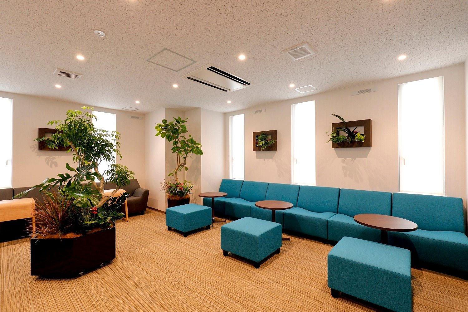 Lounge_Forest