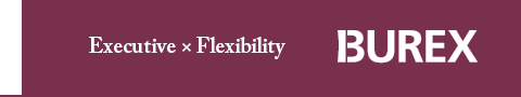 Executive And Flexibility