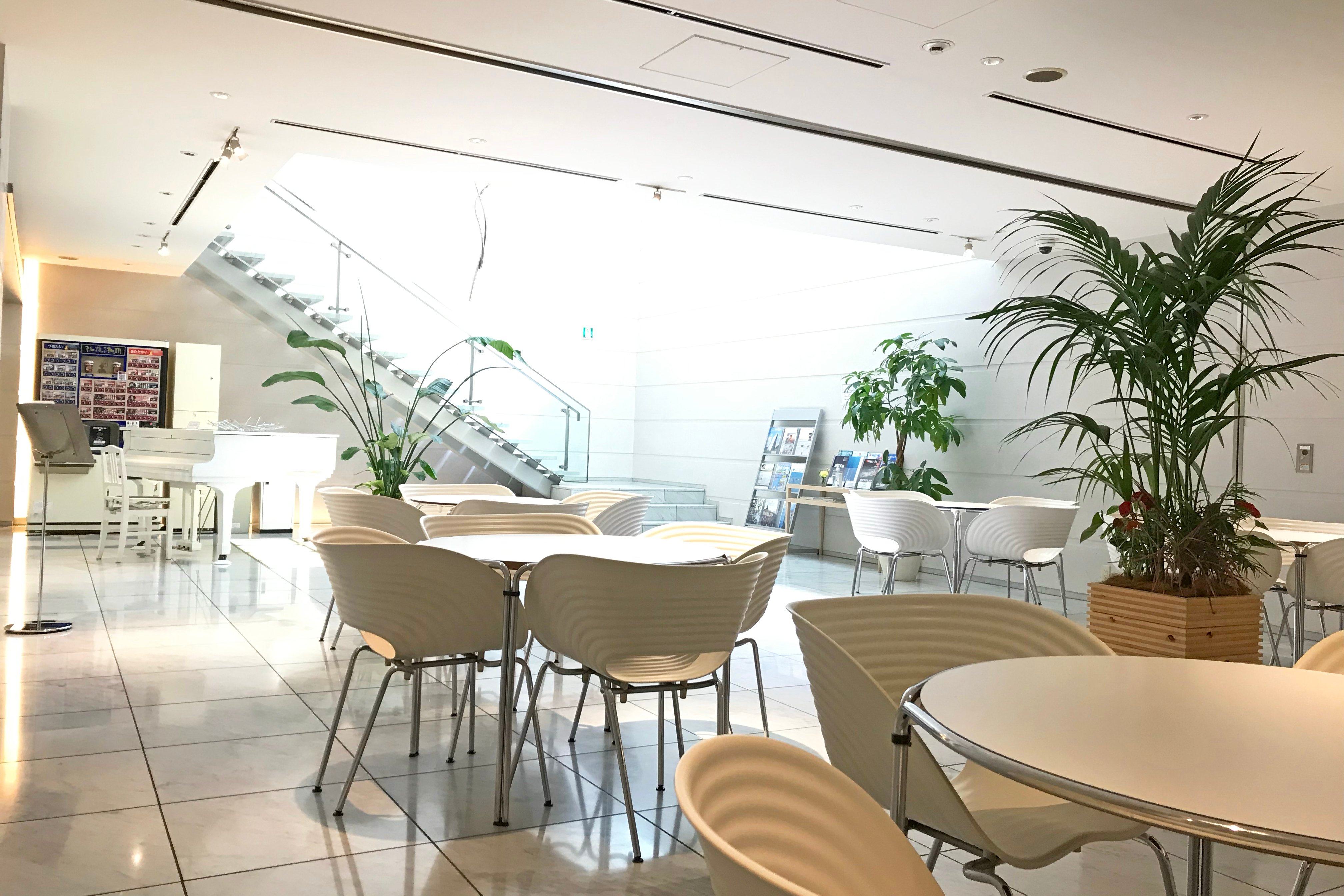ラウンジ①